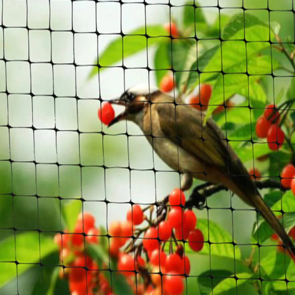 

Garden Bird Netting 2M X 10M Mesh For Fruit Trees Vegetables Plants Protection Durable Plastic Netting Outdoor Plant