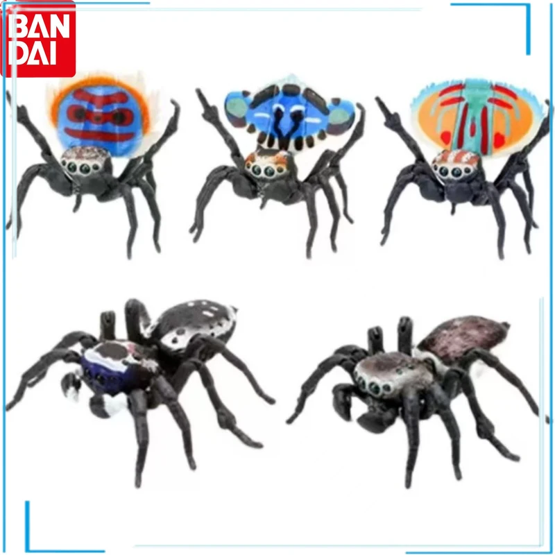 

Biology Illustrated Guide Bandai Gashapon Wall Lizard Spider Mantis Collection Ornament Children's Day Gifts Figure Model Toys