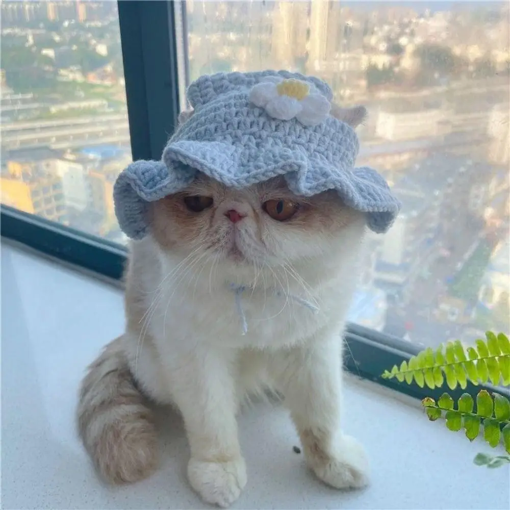 Cute Cat Hat Autumn Winter Elastic Cartoon Puppy Pet Cap Refined Party Kittens Knitted Hat