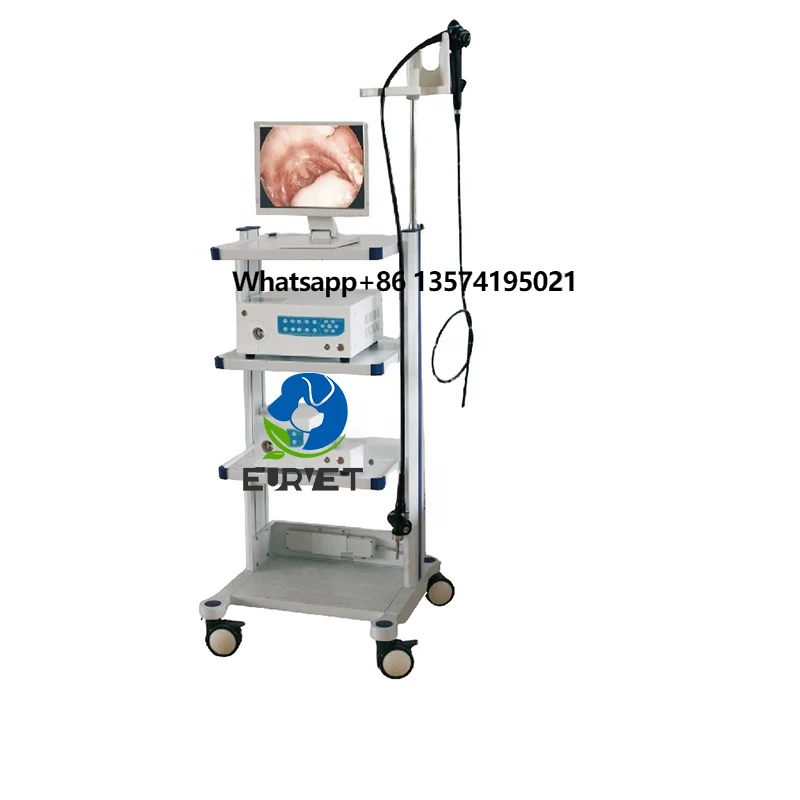 EUR VET Favorable Endoscope High Definition Imaging Veterinary Equipment Skillful Manufacture Flexible Endoscope