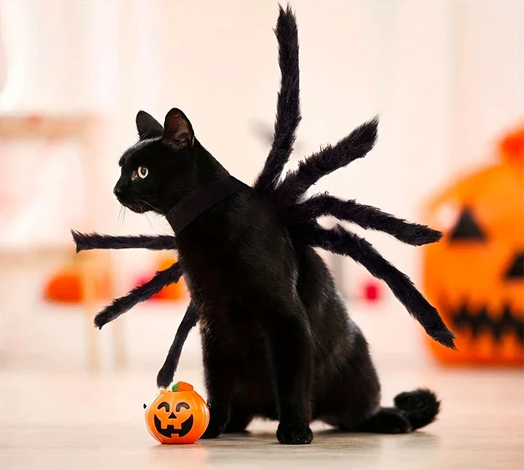 Pet Halloween decorazione imbracatura peluche seta ragno nero grande medio piccolo cane e gatto vestiti divertenti decorazione per animali domestici