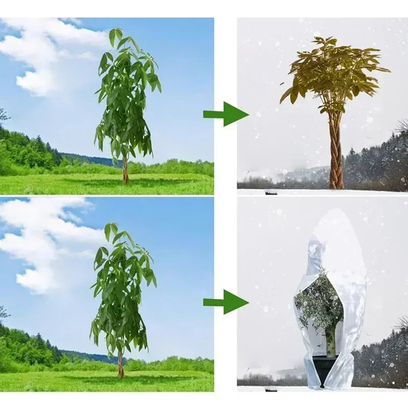 Winter Plant Protection Cover 4
