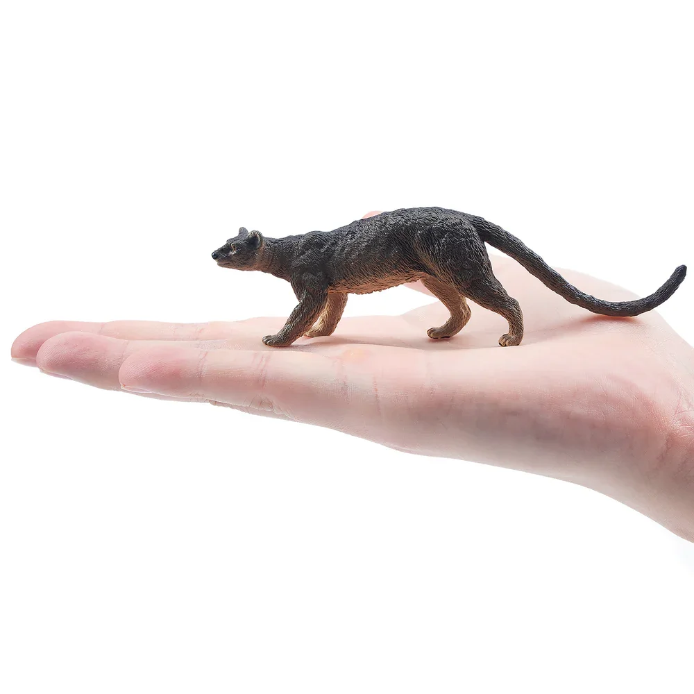 Toymany Simulation Fossa Madagascar Animal Model Toy Mini Figures Dolls Action Figurines Toys Children Gift Cake Decoration