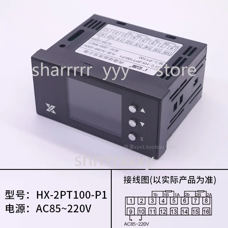 2-Channel Digital Thermometer, Dual-Loop Display, PT100 Input Industrial Temperature