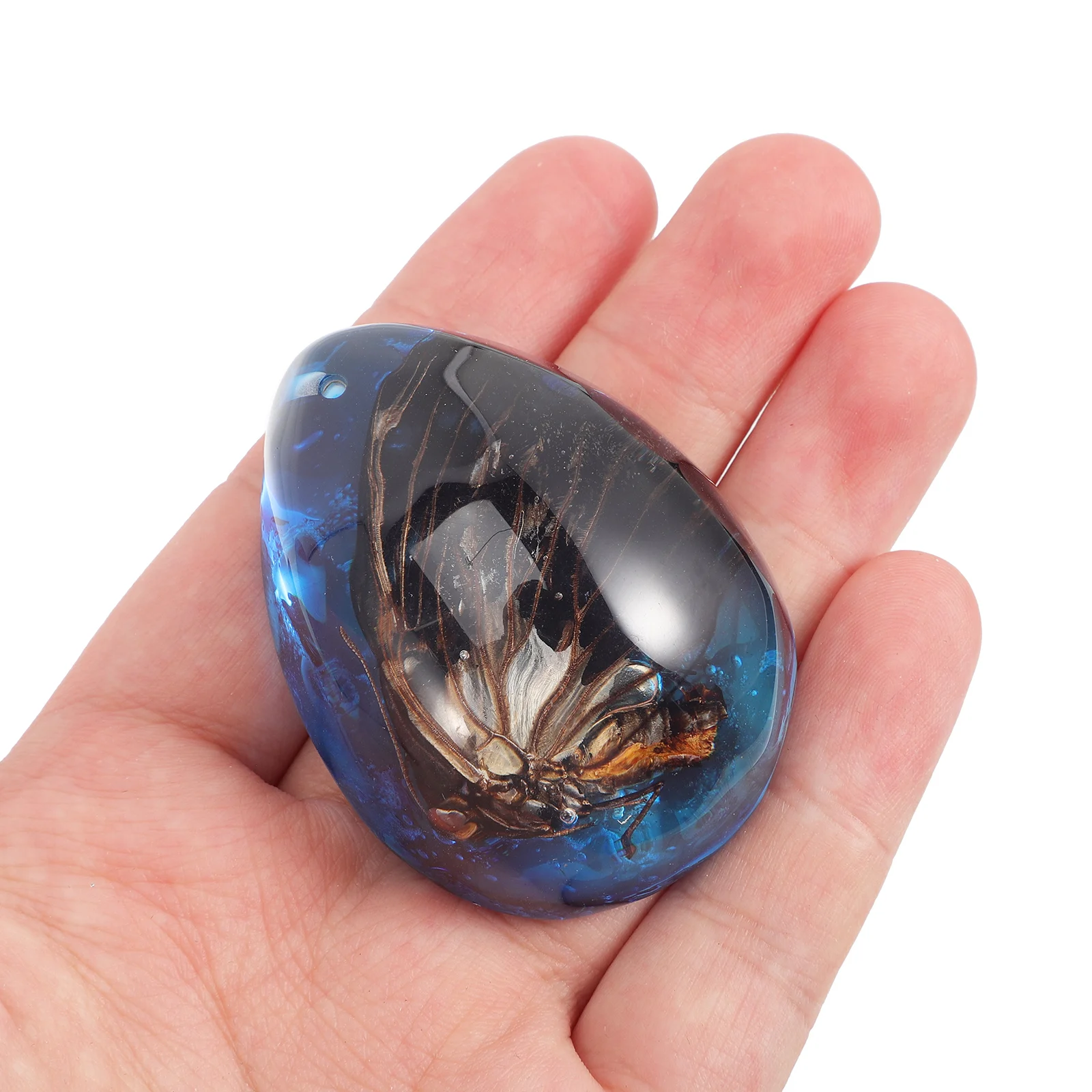 

4 Pcs Insect Amber Specimen Observation Specimens Decorations Necklace Resin Synthetic Crafts