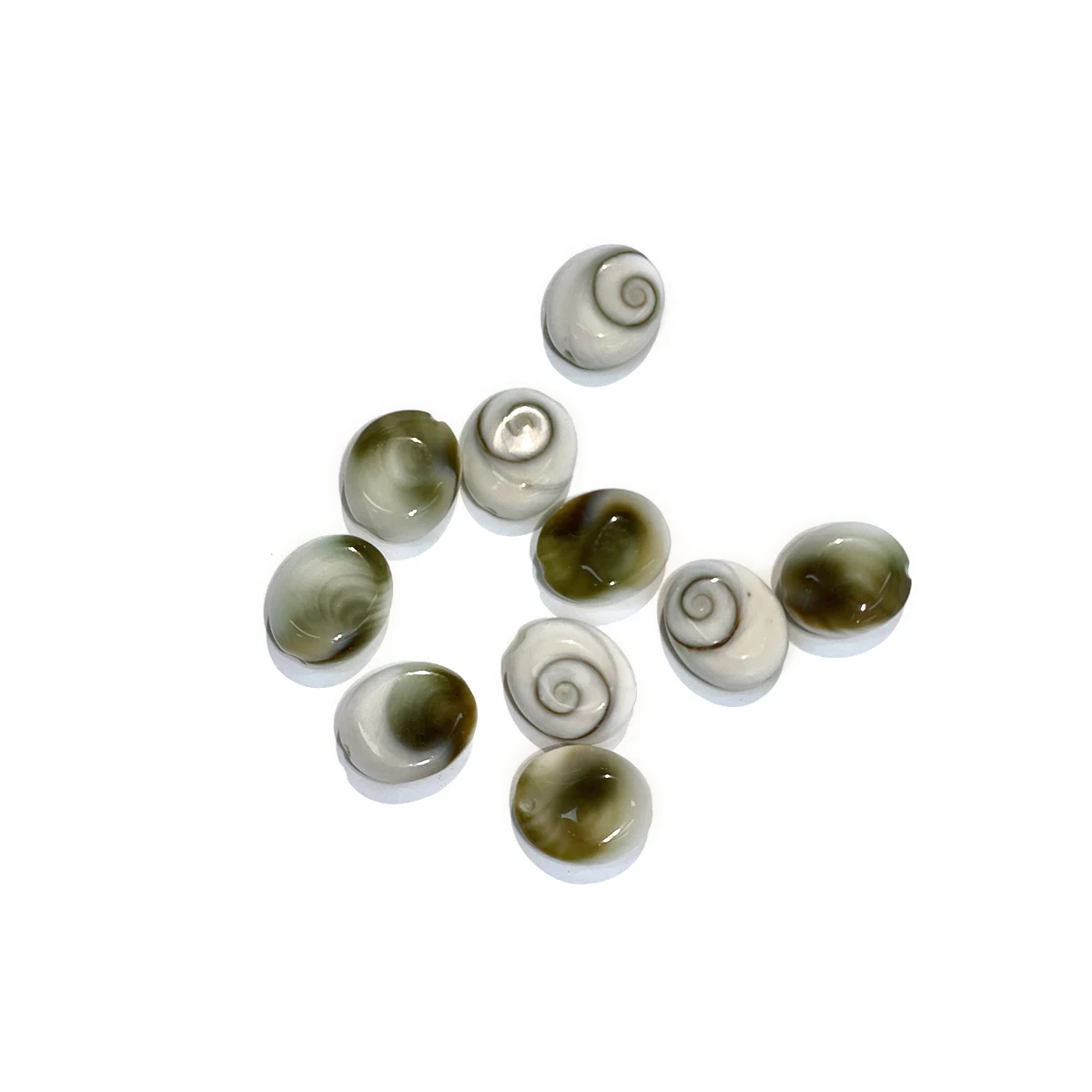 10pcs Oval Through-Hole Beads Natural Conch Shell Semi-Finished Loose Beads for Jewelry Making DIY Necklaces Bracelets Accessory