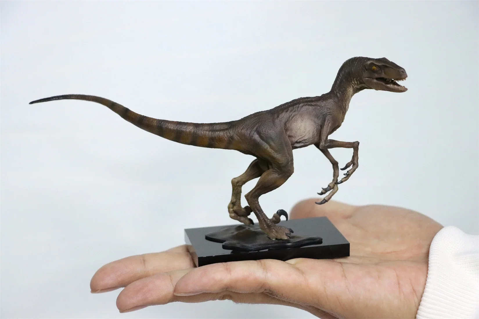 DINO DREAM Tyrannosaurus & Velociraptor Set Statue Colorful Dinosaur Model T-Rex Commemorative Edition Collection Decoration view 4