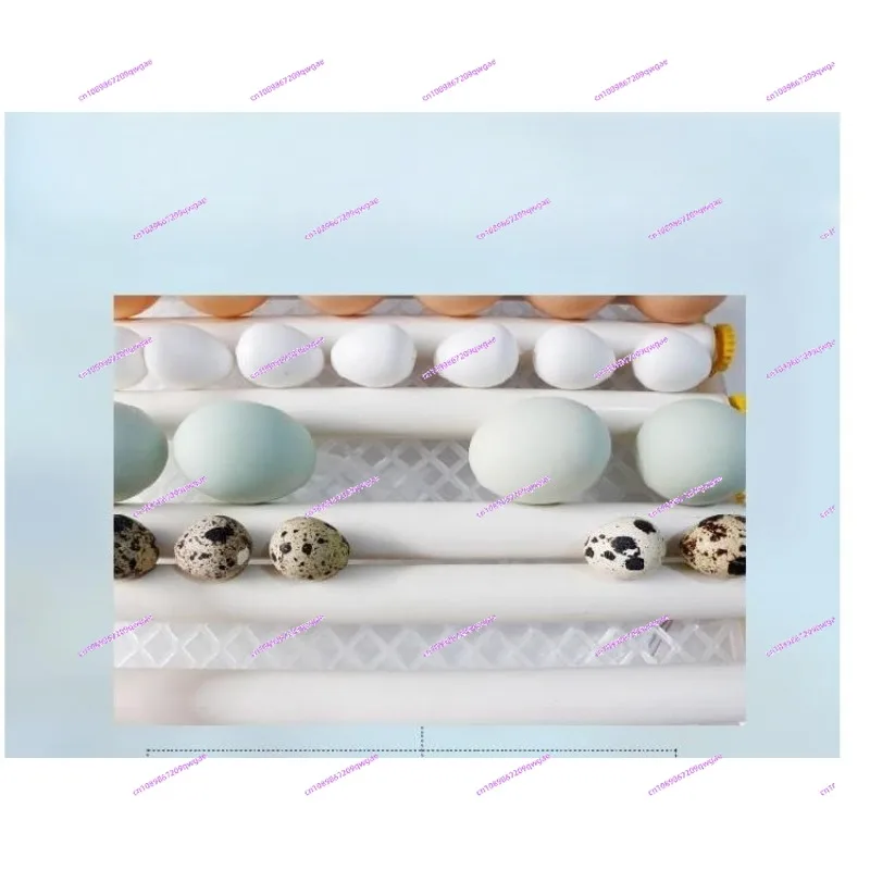 16-Egg Automatic Mini Incubator with Roller Egg Turning Poultry Hatching Machine