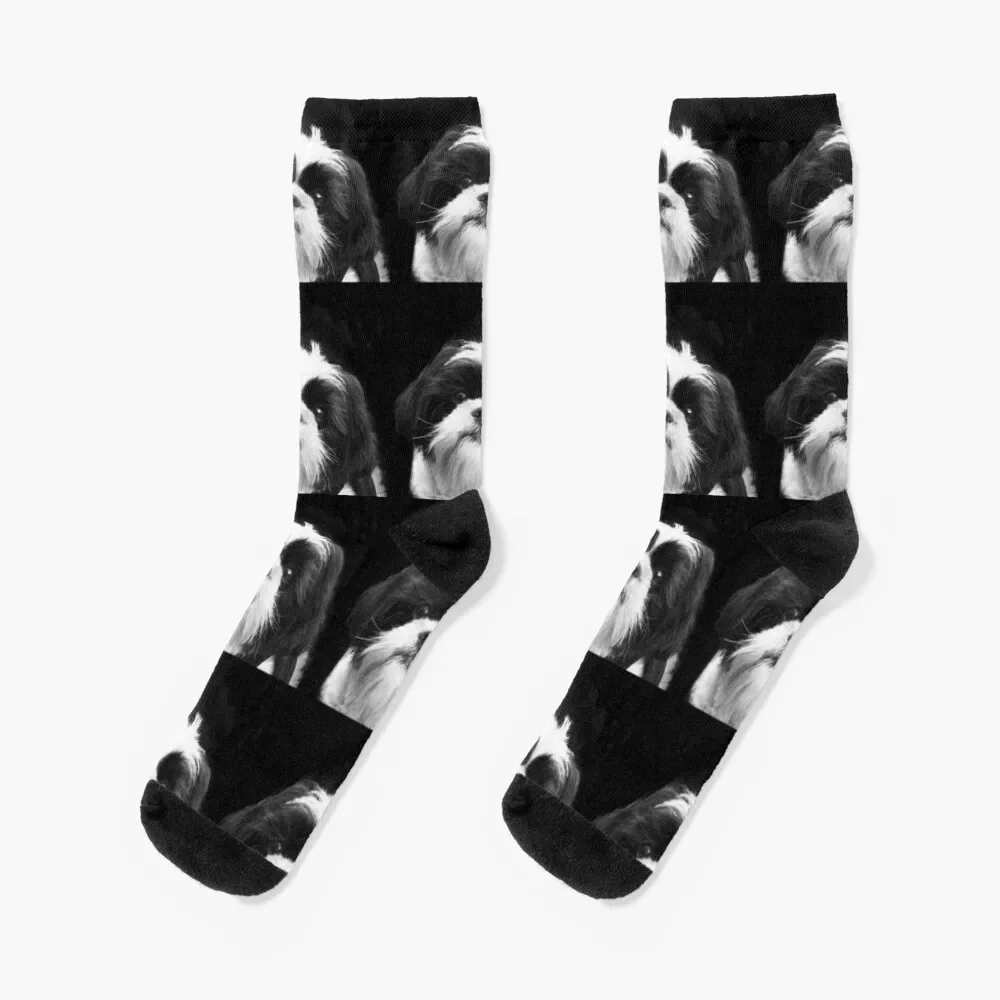 

Shih Tzu Dog Socks Sports cycling Thermal man winter Wholesale Socks Woman Men's