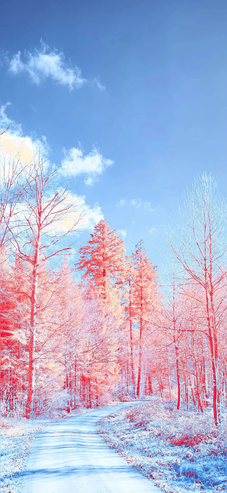 Car Radio Multimedi…