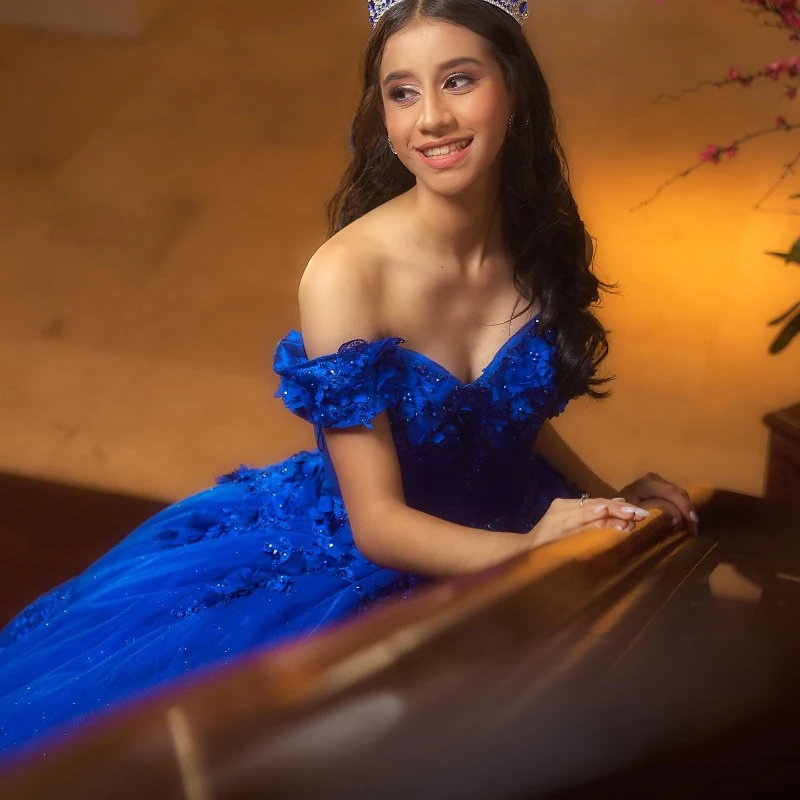 Customized Royal Blue Quinceanera Dress Ball Gown 3D Floral Lace Bead Corset Sweet 16 Vestidos 15 De XV Años YQD533