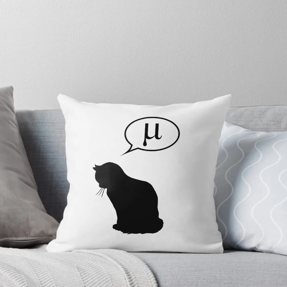 Physics Cat and Friction Coefficient Throw Pillow Cushion Child Decorative Cushions pillow