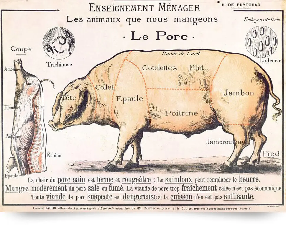 Vintage Französisch Le Porc Fleisch Diagramm Kunst Leinwand Poster Wanda uf kleber nach Hause dekorative Malerei