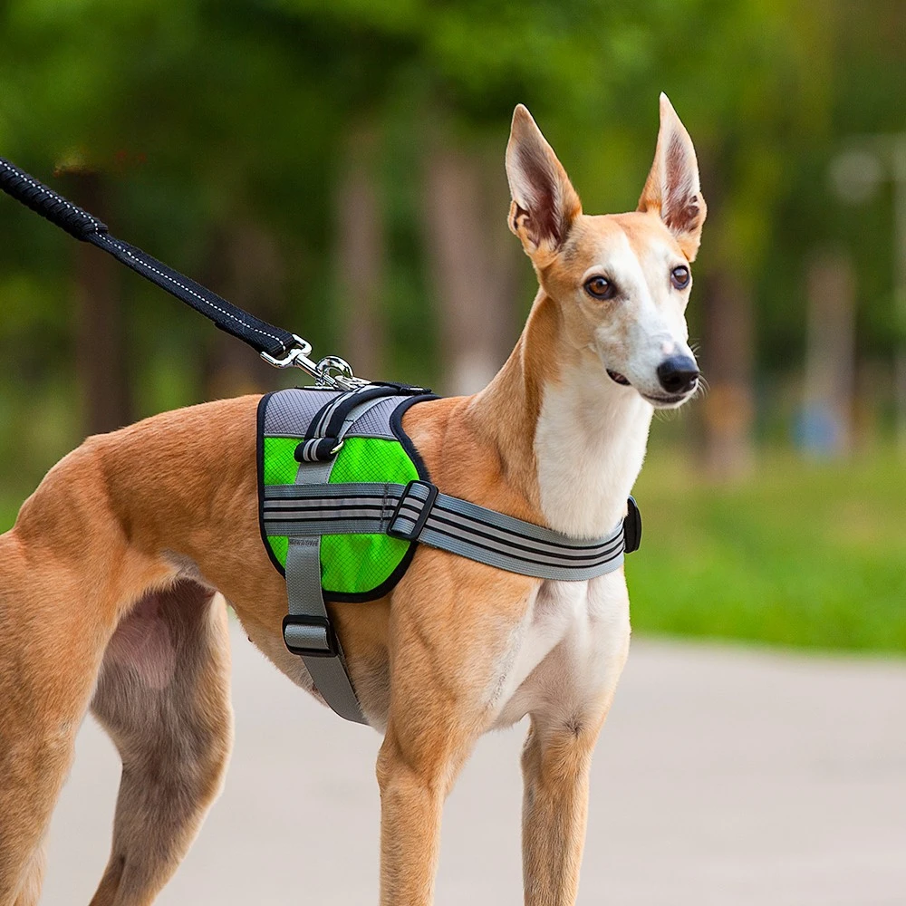 

Dog collar chest strap explosion-proof blunt reflective strip at night comfortable and durable saddle pet harness strap.