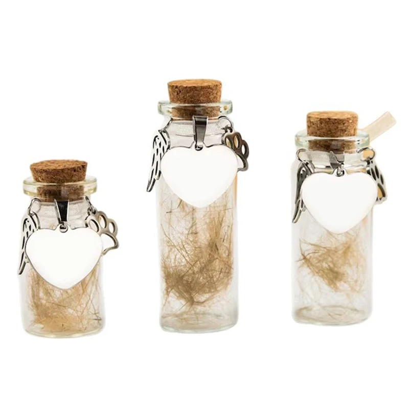 Bouteille commémorative pour animaux de compagnie, pour poils d'animaux, chiens, chats, fourrure, souvenir, stockage avec 3 accessoires en argent, conteneur d'urne commémorative pour animaux de