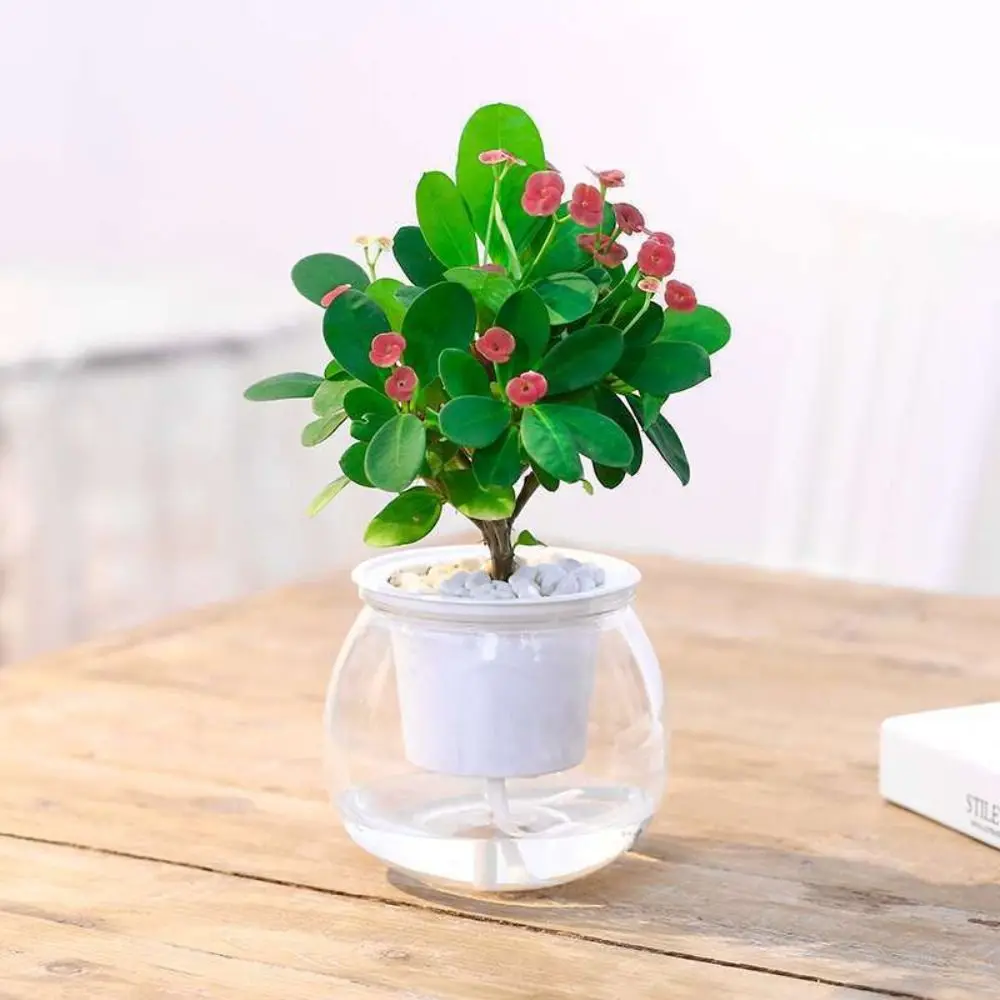 New Lazy Automatic Watering Flower Pot Plastic Transparent Water Storage Flower Pot Round Including Liner Potted Flower Pot Home