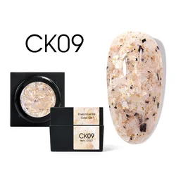 Venalisa Supply Canni Mineral Painting Gel Peacock Sequins Holographic Gel Nail Art Soak Off UV LED Nail Decoration Gel Polish
