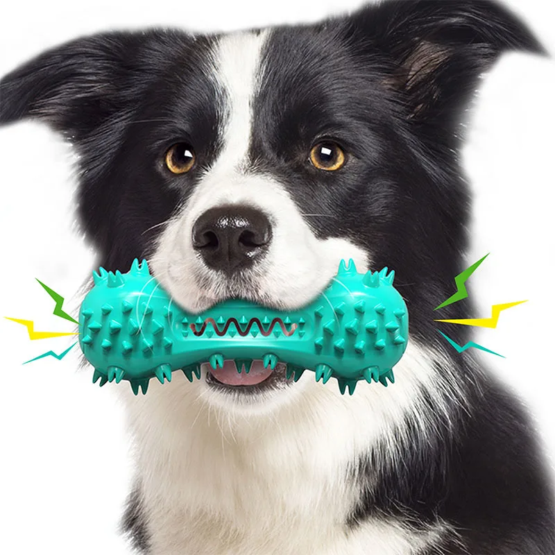 

Pet Supplies Manufacturer Wholesale Company New Hot-Selling Training Chew Stick Sound Toothbrush Dog Toy