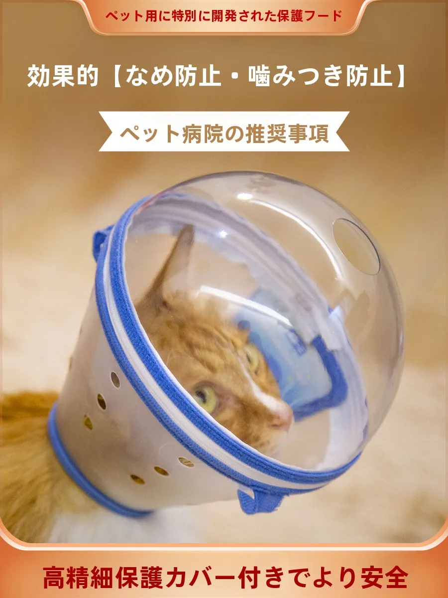 yZ[zLƌp̐[߂̃GUxXJ[ ܐ؂ ybgpi r߂芚񂾂h jo[TtBbg ybgANZT[