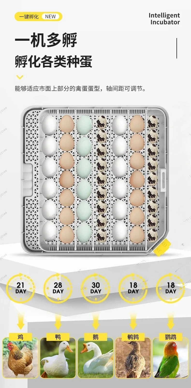 48 Egg Smart Incubator - New Fully Automatic Hatching Machine with Intelligent Humidity Control for Home & Farm Use
