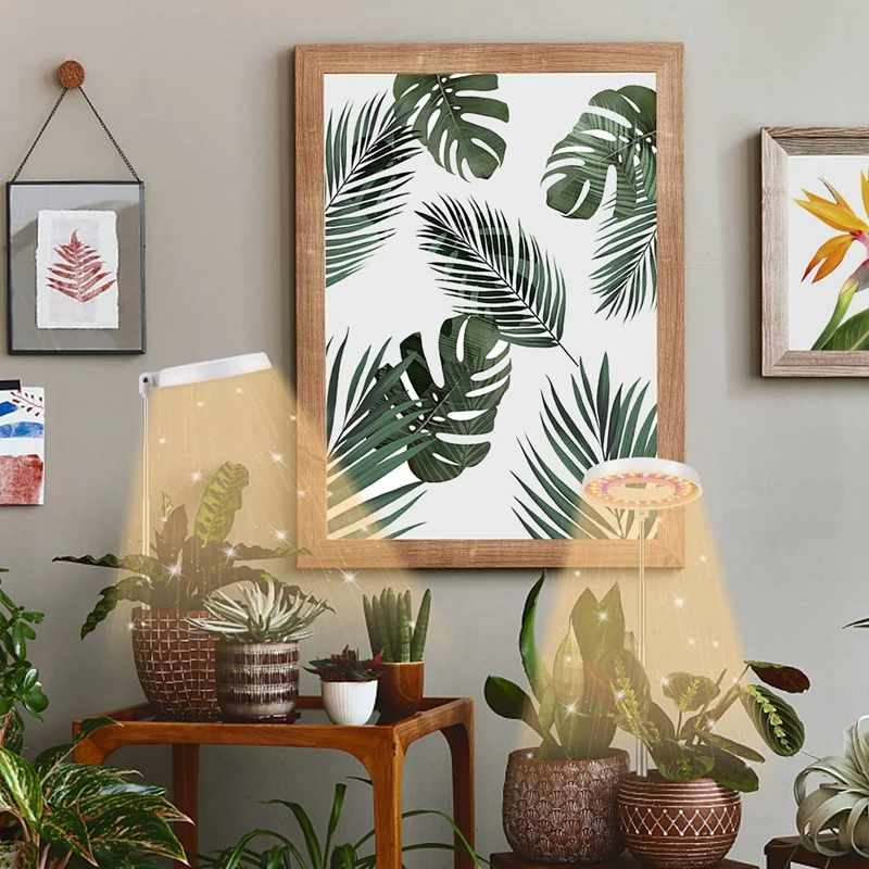屋内植物用LEDグローライト、栽培用ランプ、自動タイマー、4、8、12、18時間、盆栽、多肉植物、小さな植物