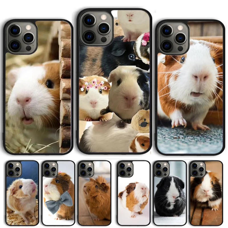 Hamster Guinea Pig …