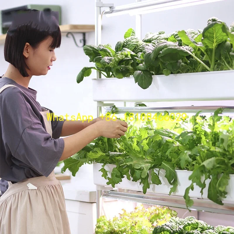 

Home Hydroponic Growing Systems New Arrival Indoor Smart Planter Garden Hydroponic Intelligent Vertical Farming
