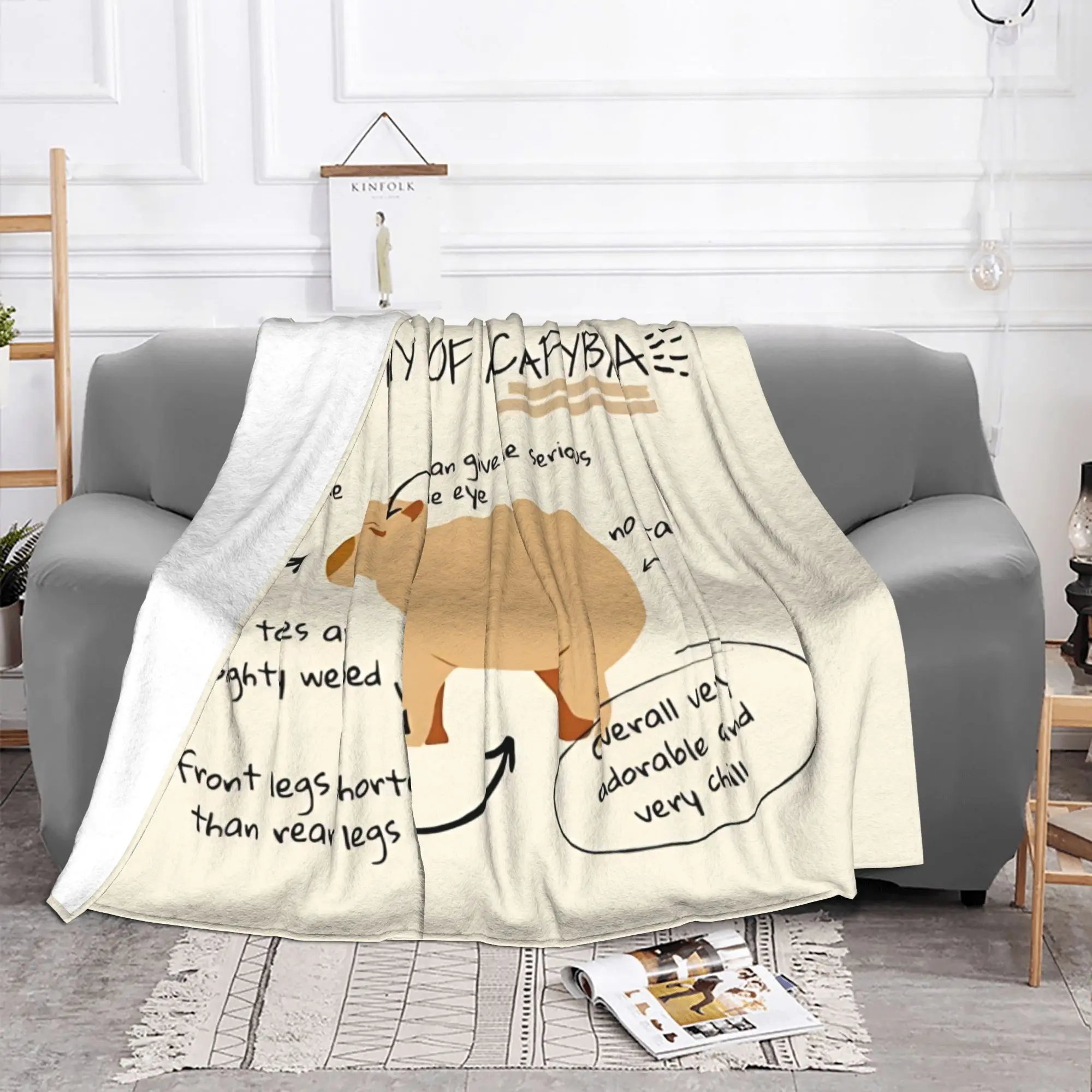 1PC Home Cute Room Decor Anatomy of a capybara Blanket Throw Blanket Capybara Novelty Warm Blanket All Season