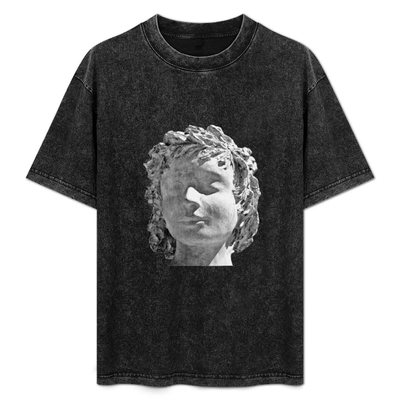 

Stone lady T-Shirt t shirt men 100% cotton luxury brand man t shirts for men man t shirt graphic essential shirt T-Shirt