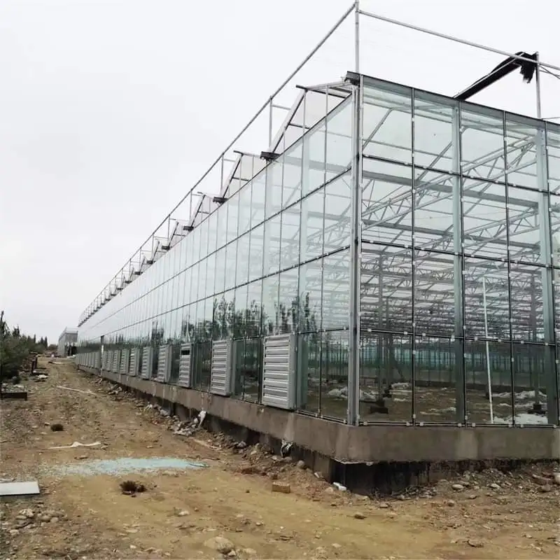 

Customized greenhouseEasy-Install Glass Greenhouse for Tomato Farming - Low Maintenance & Durability