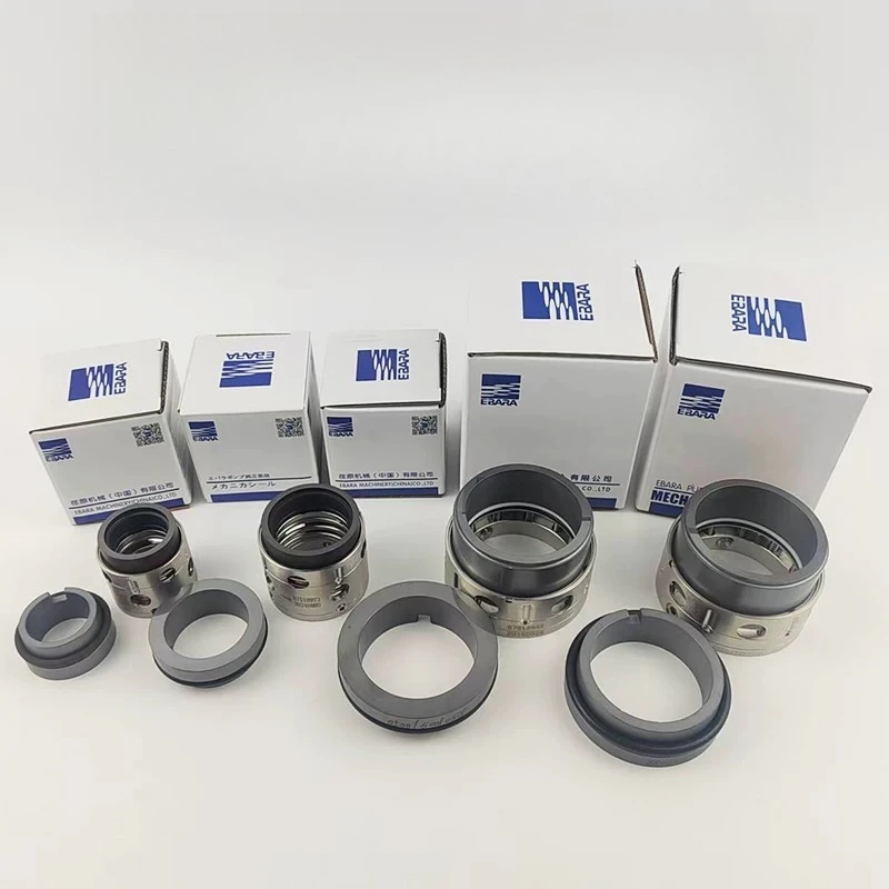

Mechanical seal CCAI56U-325E2 shaft-seal 100X80FSS