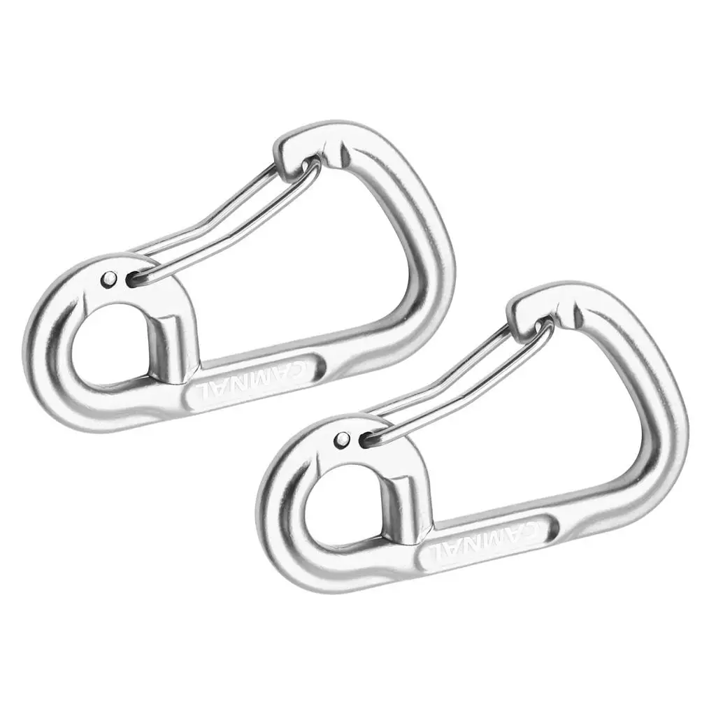 2Pcs Carabiner Keychain for Hammock Camping Backpacking Dog Leash Quick Release Spring Hook Camping Tent Hiking Pole Accessories