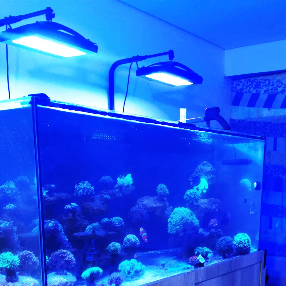 Luz LED para acuario marino A8 - Aquarium Marine Blue reseña y precio