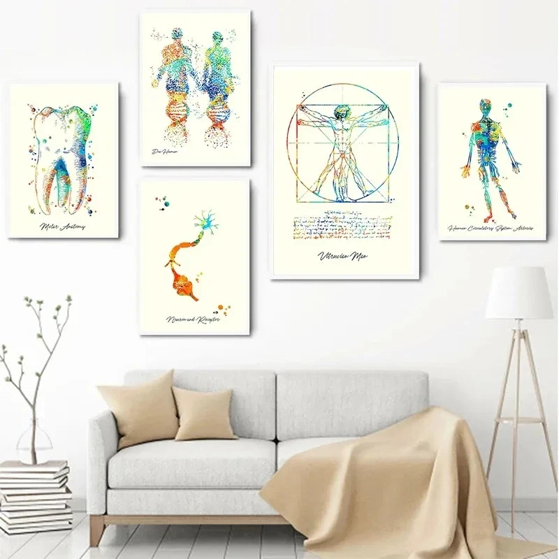 Impresiones artísticas de lienzo de anatomía moderna, cabeza humana y Torso, cerebro, tallo, pulmones, póster de ciencia, pintura de médicos, decoración de arte de pared de oficina