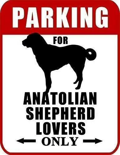 Patisaner Parking for Anatolian Shepherd Lovers Only Metal Poster Dog Sign 8x12 inches