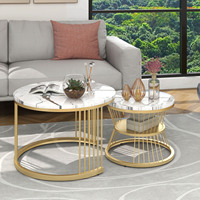 Rosahqnda Modern Coffee Table Set of 2 Round Nesting Coffee Table with Gold Metal Frame,Marble Table Side Table for Livingroom