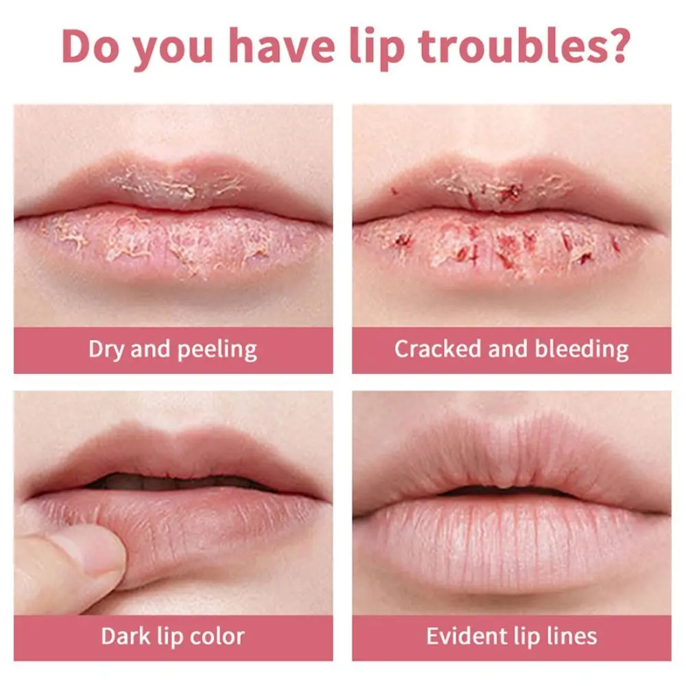 Shine & Hydration Lip Butter Balm Sheer Getönter Opfer E Conditioning Veganer Lippenbalsam Lippenpflege Getönter Lippenbutterbalsam Damen Herren