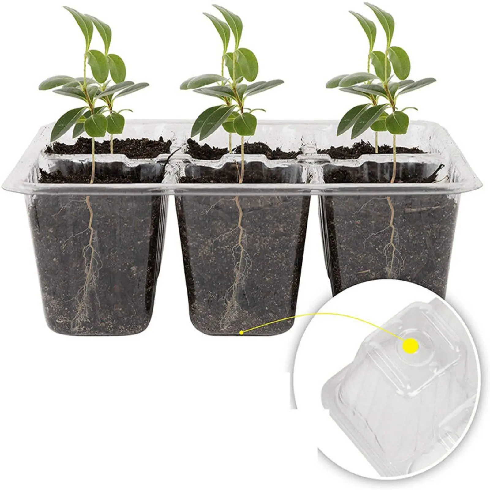 12 Compartment Germination Tray Reusable 12 Compartment Sprouting Germination Kit Plant Germination Kit Sturdy Construction