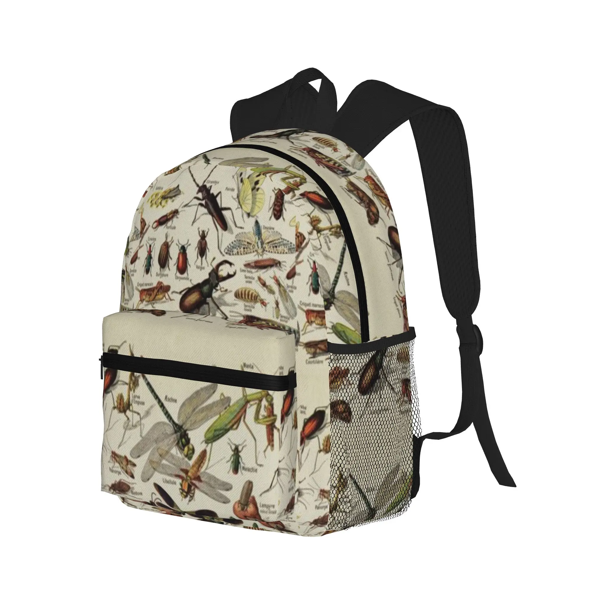 Insects Chart  Scientific Illustration  text in french  Casual Backpack for Students and Adults Men's backpack