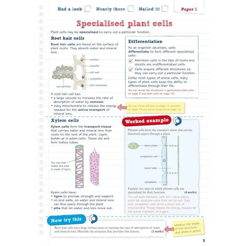 بيرسون مراجعة Edexcel GCSE أوراق ممارسة مؤسسة الرياضيات بالإضافة إلى امتحانات 2025 و2026 جان لينكسي 9781292096308