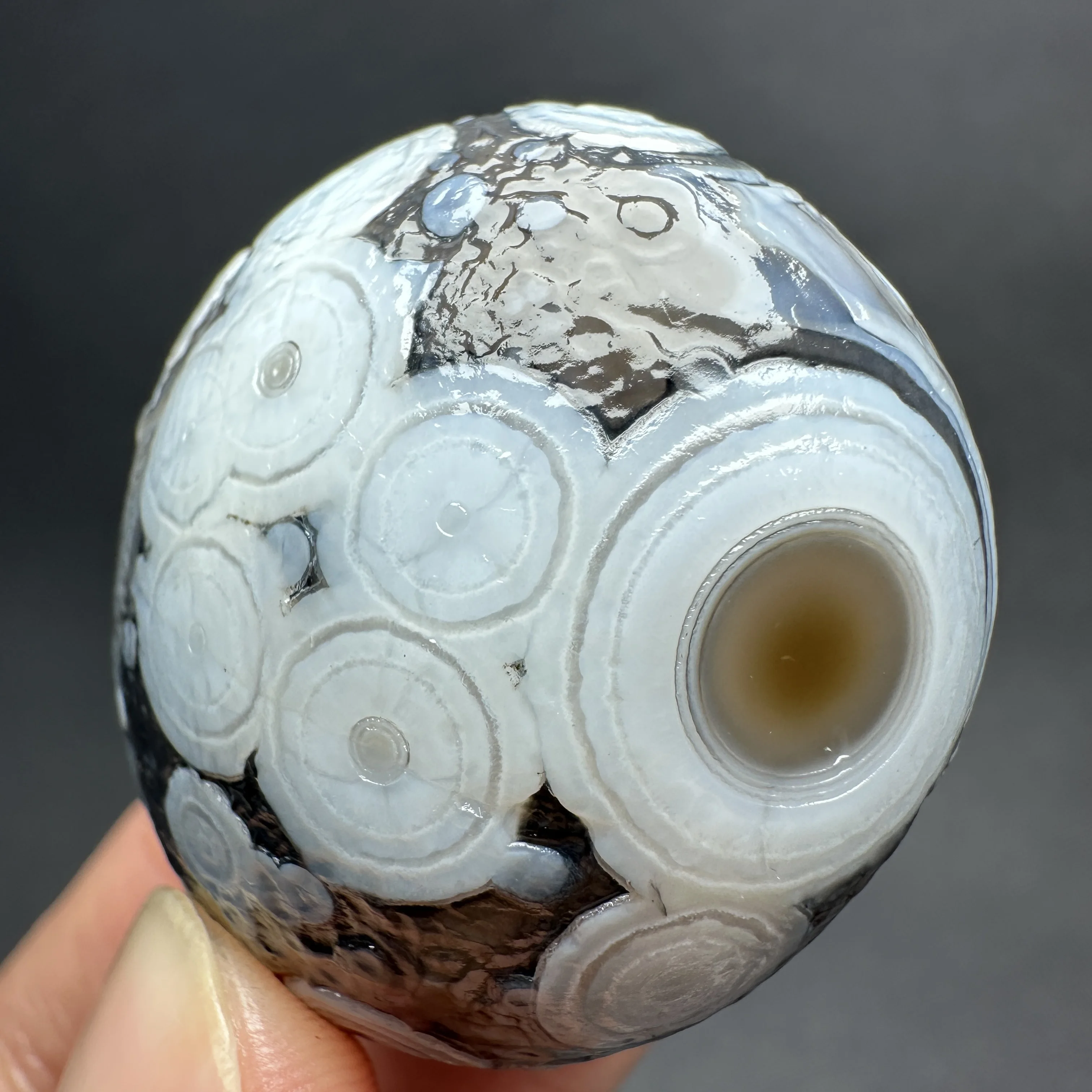 Natural Madagascar Ocean Jasper Palm Stone Black White Eye Agate Healing Crystal Massage Wand Collection view 6