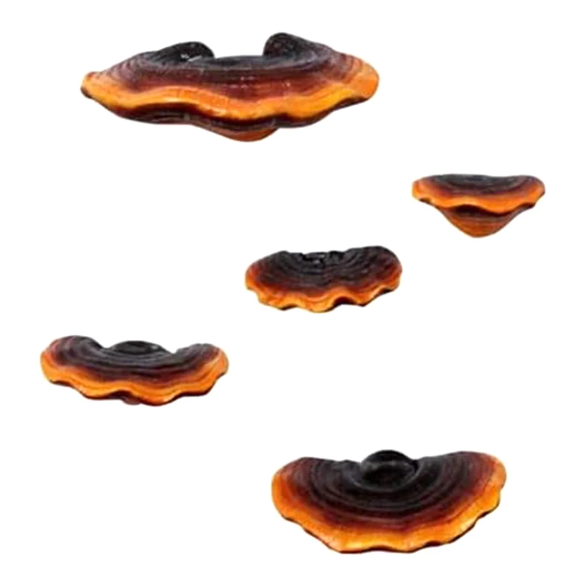 Best Set of 5 Mushroom Shelf Wall Decor Small Wall Shelf for Bedroom Resin Mushroom Decor Floating Shelves Corner Wall Decor