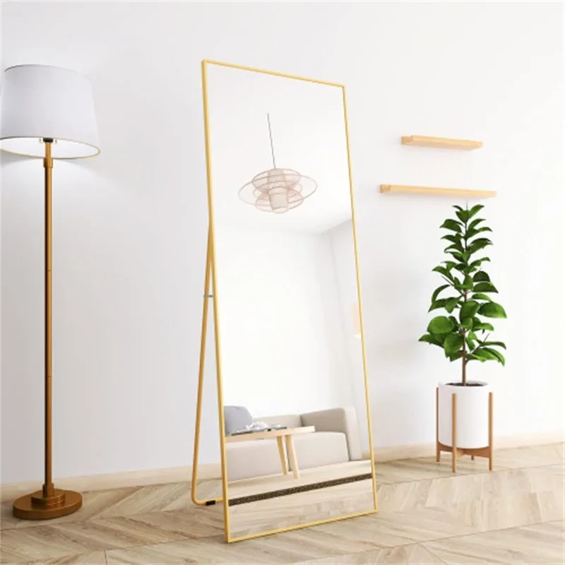 Alloy Frame Full Length Mirror Free Standing Hanging or Leaning Floor Mirror Wall Mounted Full Body Mirror , 65" X 24"