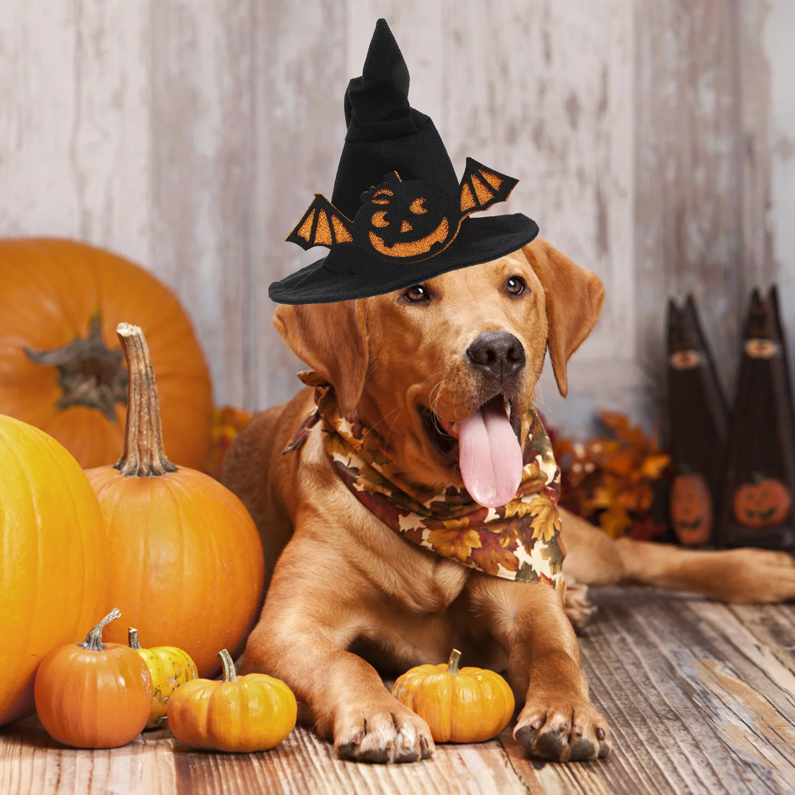 

1Pcs Pet Hat Small Pet Hat Decor Halloween Dog Cat Headdress Soft Breathable Festival Party Accessory Cat Headdress