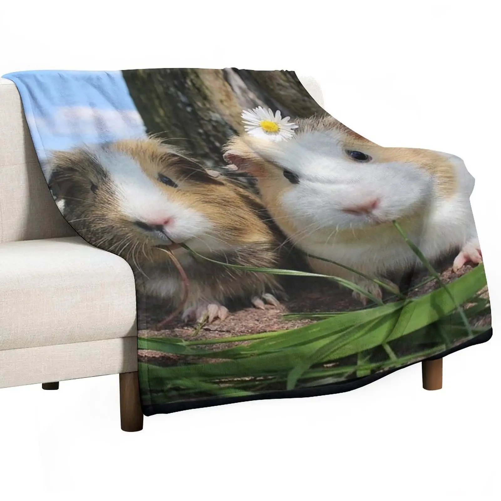 

Guinea Pig – Cavy Collection – Model 01 Throw Blanket Soft Big Blanket Picnic Blanket