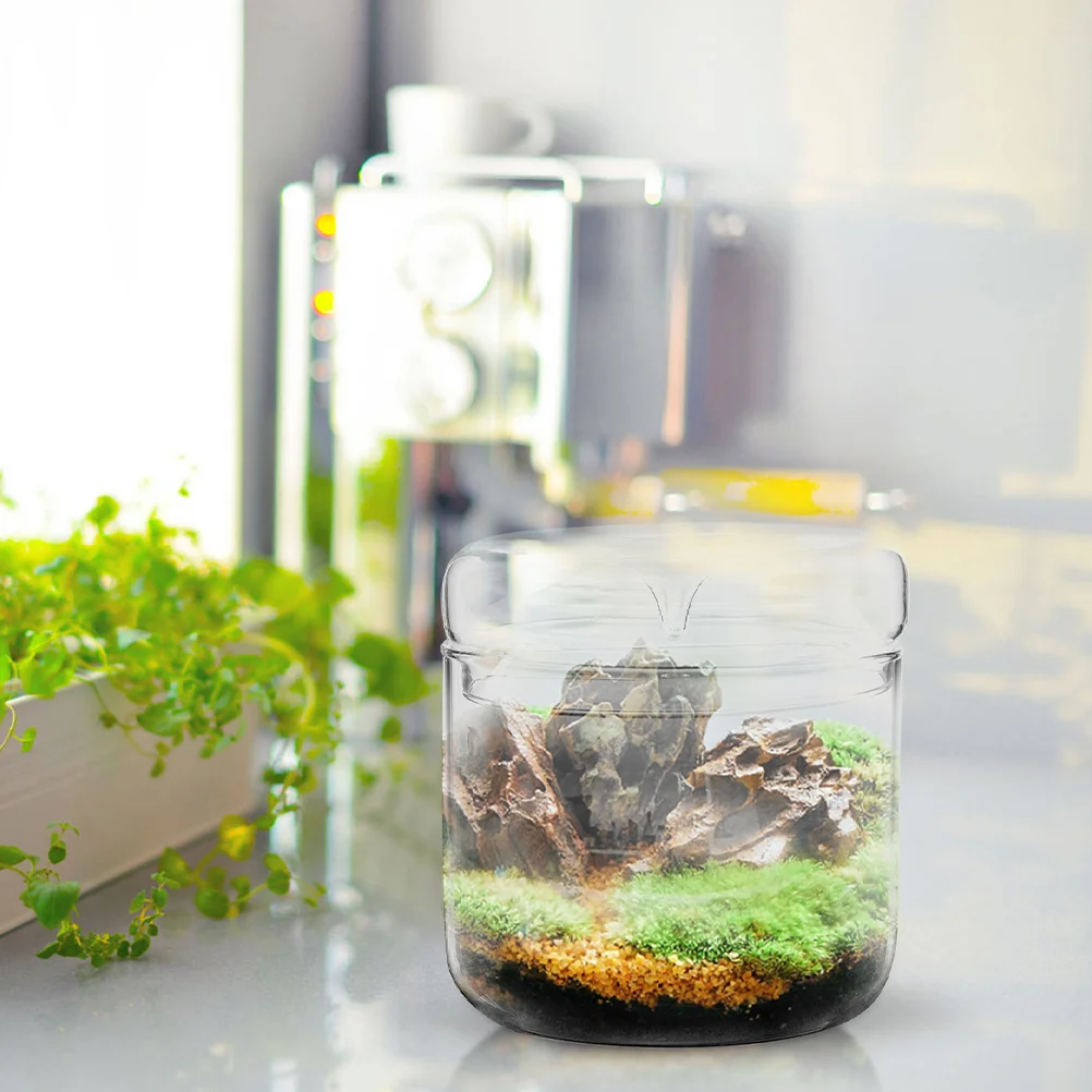 

Clear Glass Moss Landscape Bottle Micro Landscape DIY Terrarium Container Decorative Home Office Table Adornment Transparent