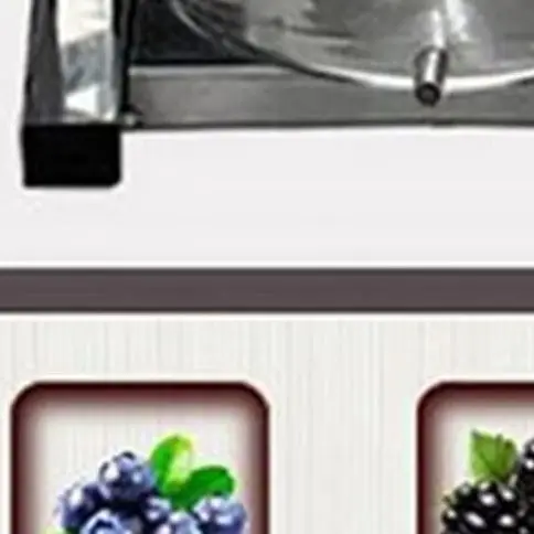 Manual Hydraulic Fruit Juicer/Hand Stainless Steel Grape Press Machine/Small Grape Wine Pressing Machine