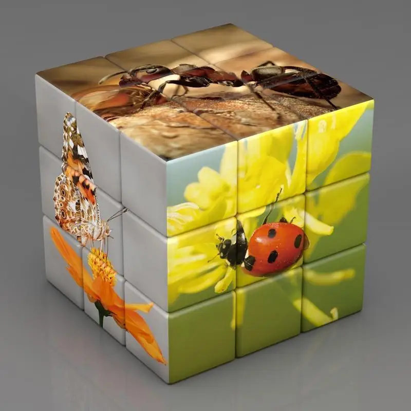 3D 3x3x3 Speed Cube Braille Fingerprinting For Animal Cubes Alta qualidade Rotação Cubos Magicos Jogos Educativos Para Crianças