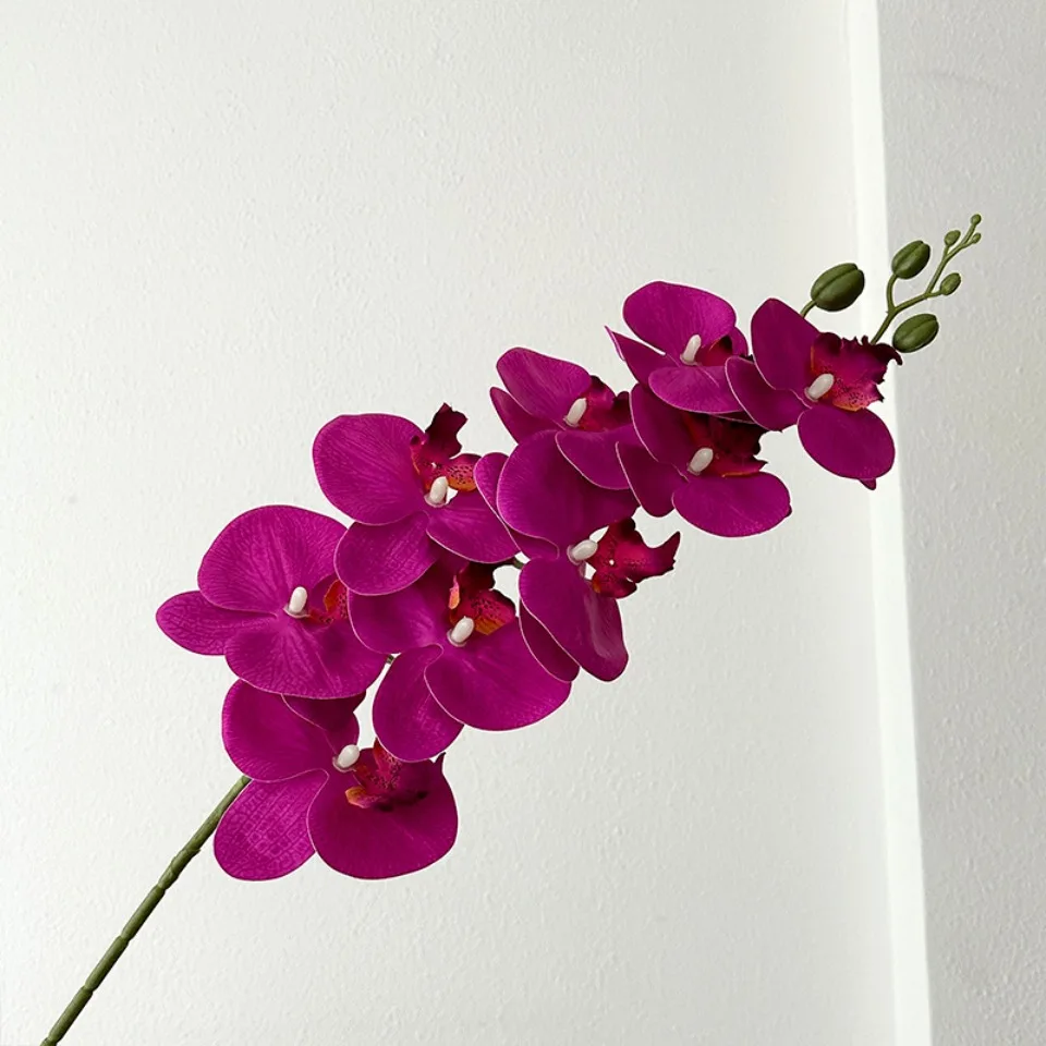 9-Köpfiger Künstlicher Phalaenopsis-Blumenzweig Realistische Seidenblume Künstliche Orchidee für Hochzeit, Party und Heimdekoration – Detail 11