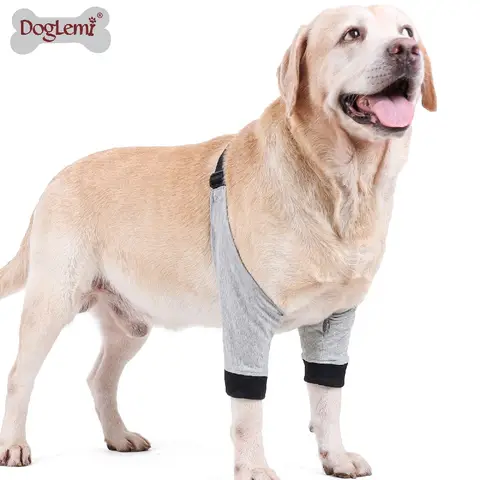 Genouillères de jambe avant pour chien, bandage de récupération, anti-lécher, respirant, soutien lancé par les instituts oto, manchons de coude, accessoires pour chien